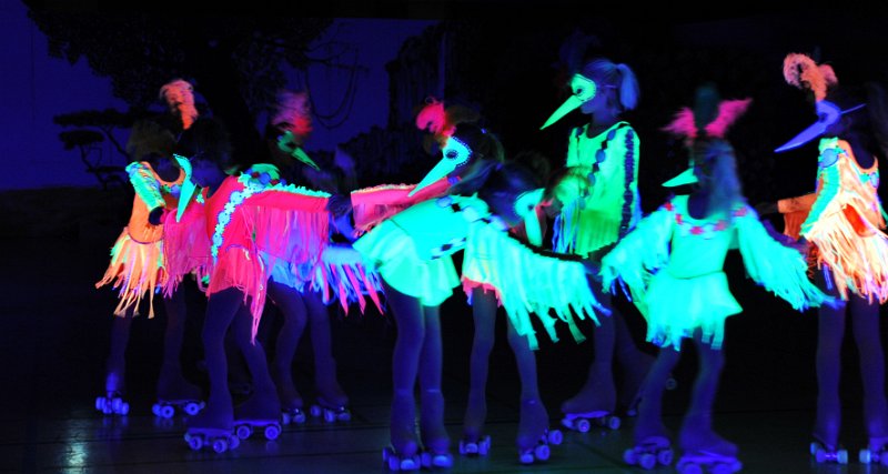 Lionking 0541.JPG